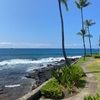 shannonkihei